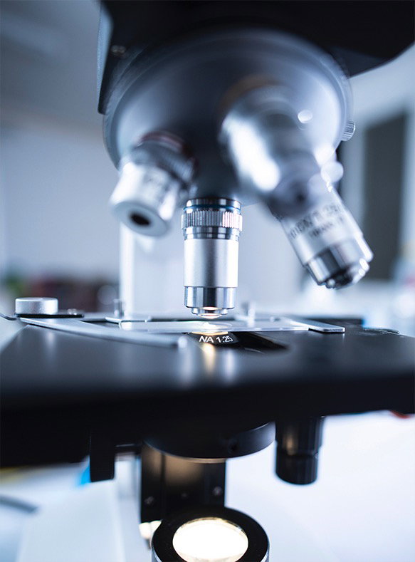 Homepage (With Slider)