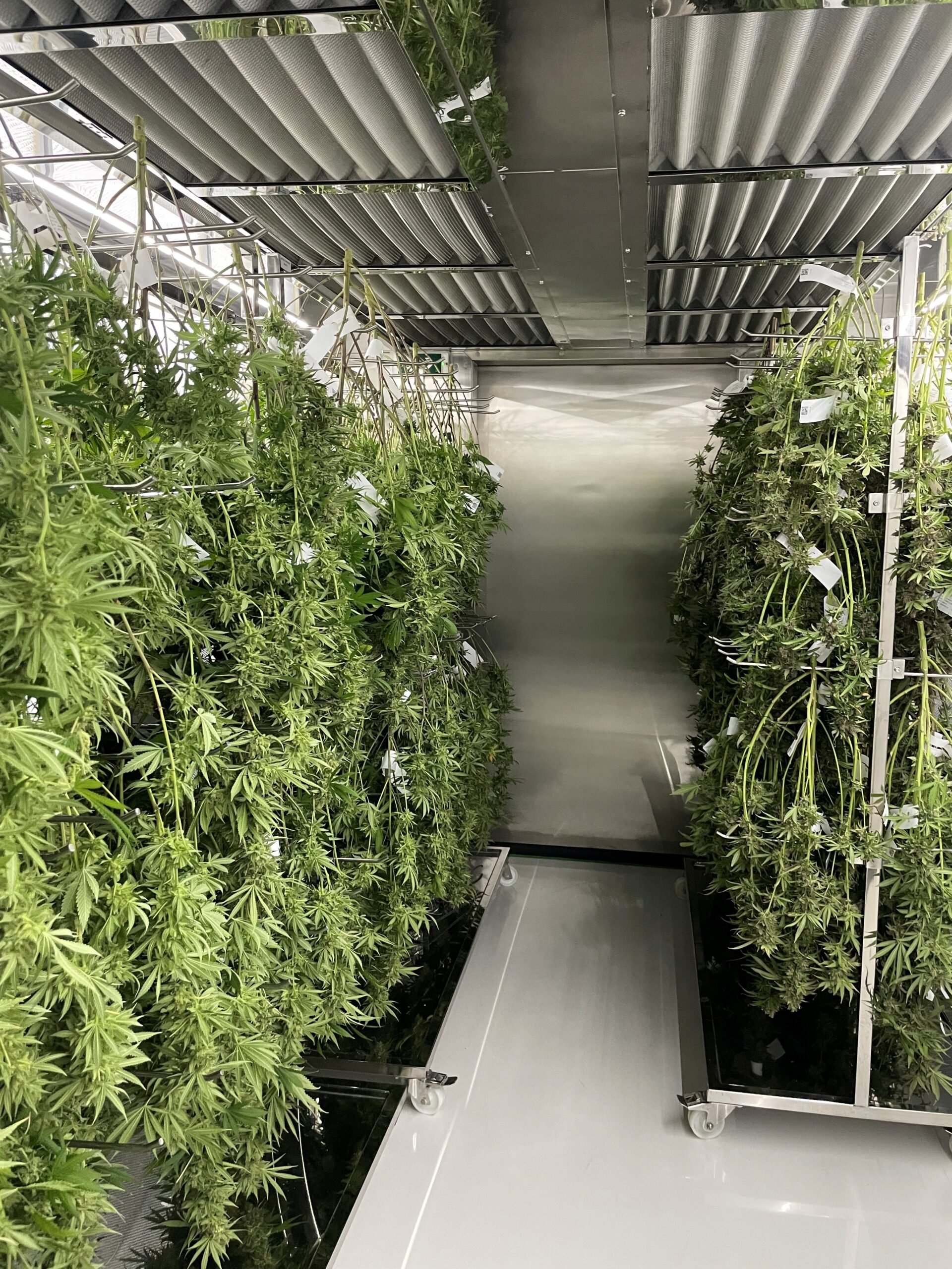 Manufacturing Process