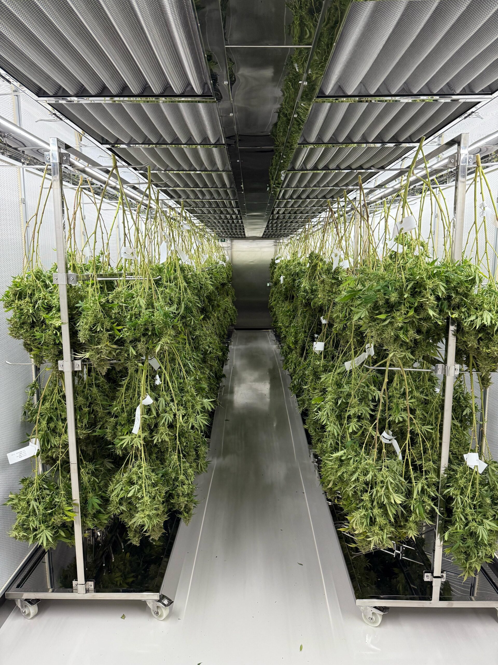 Manufacturing Process