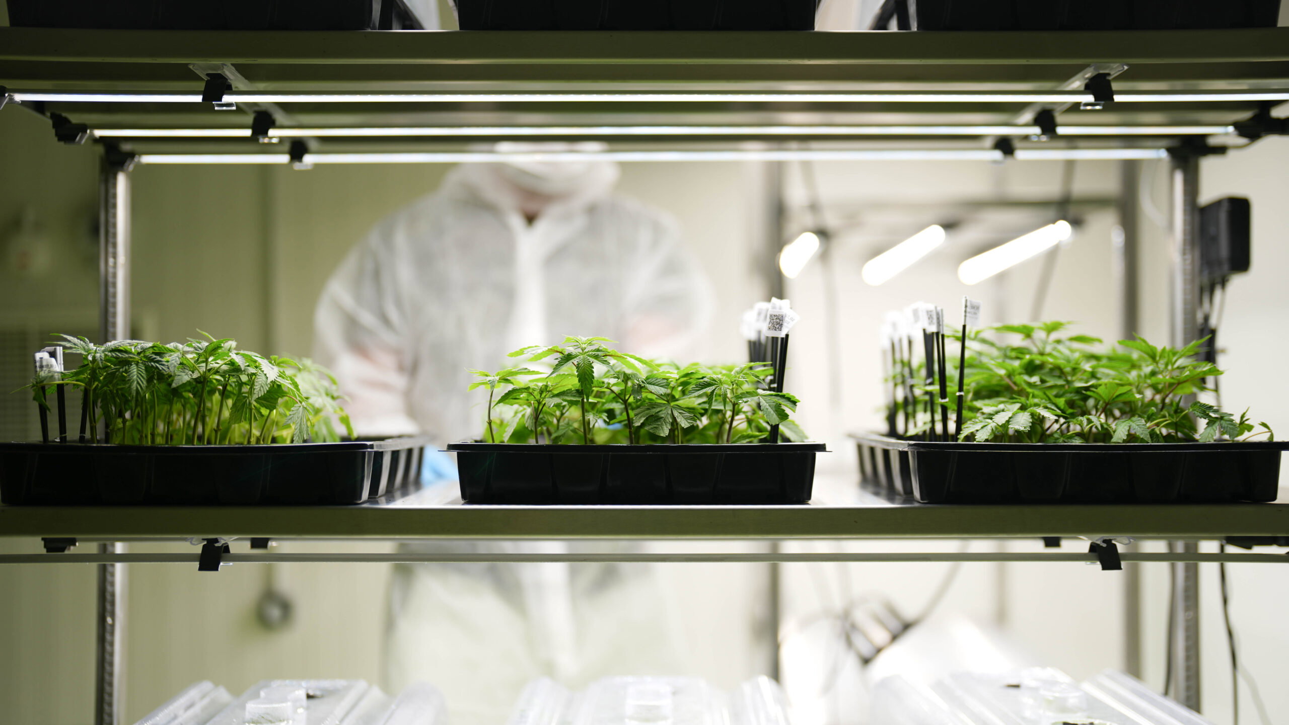 Stay Tuned for Sector News