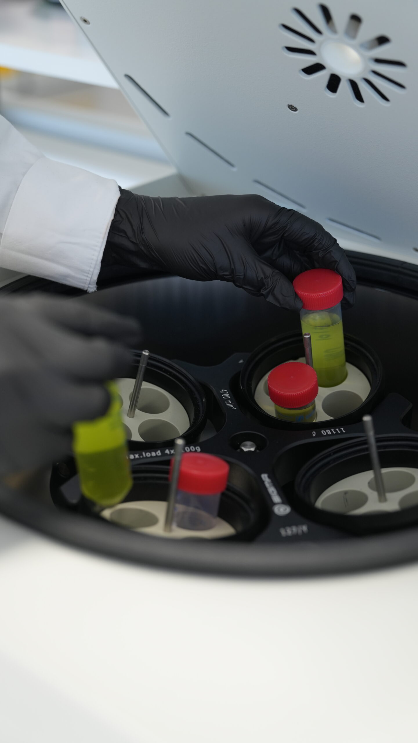 Manufacturing Process