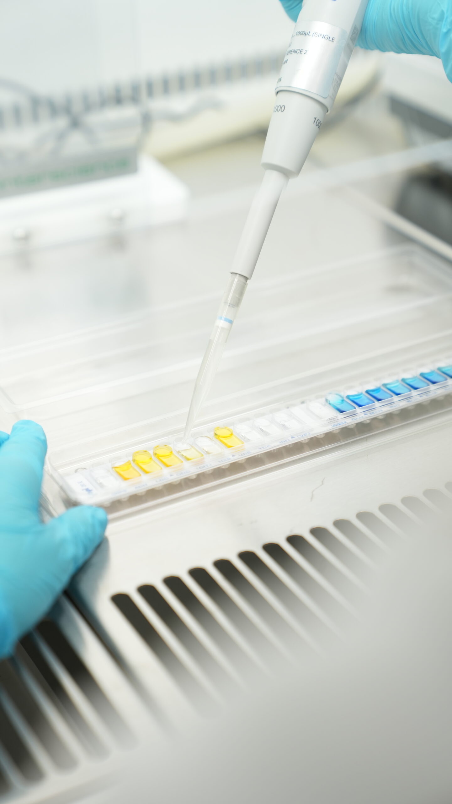 Manufacturing Process