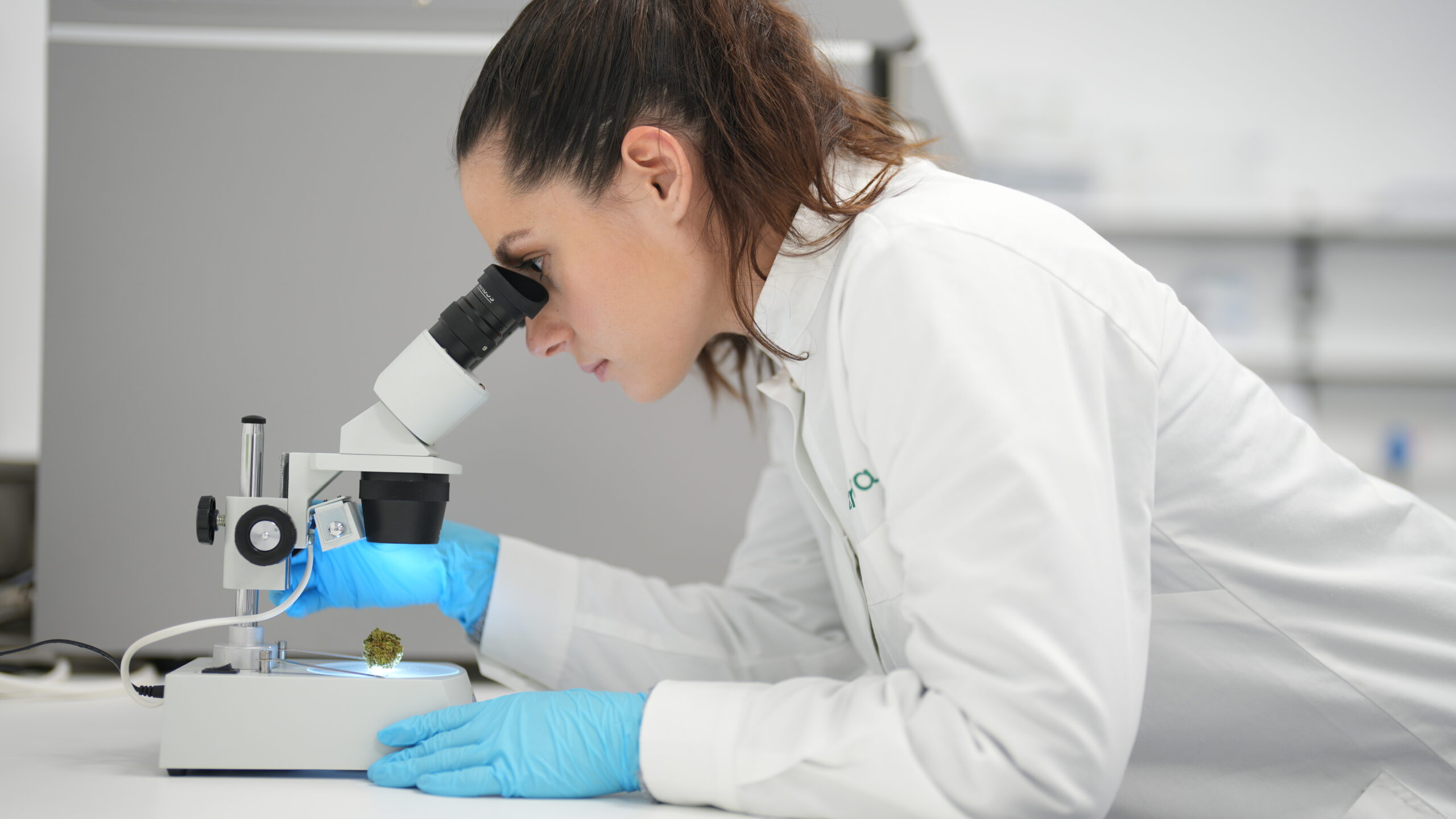 Manufacturing Process