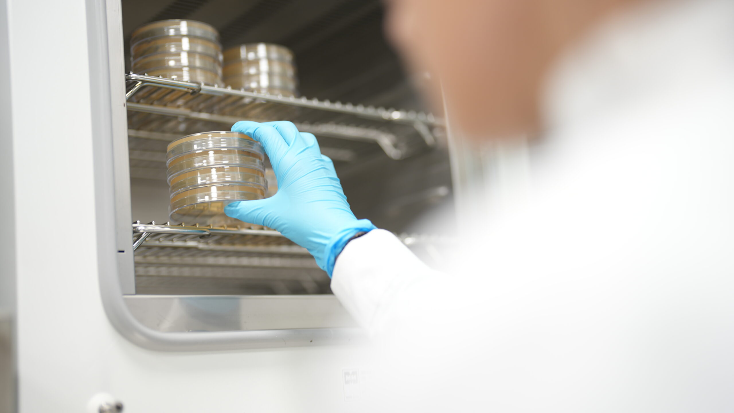 Manufacturing Process