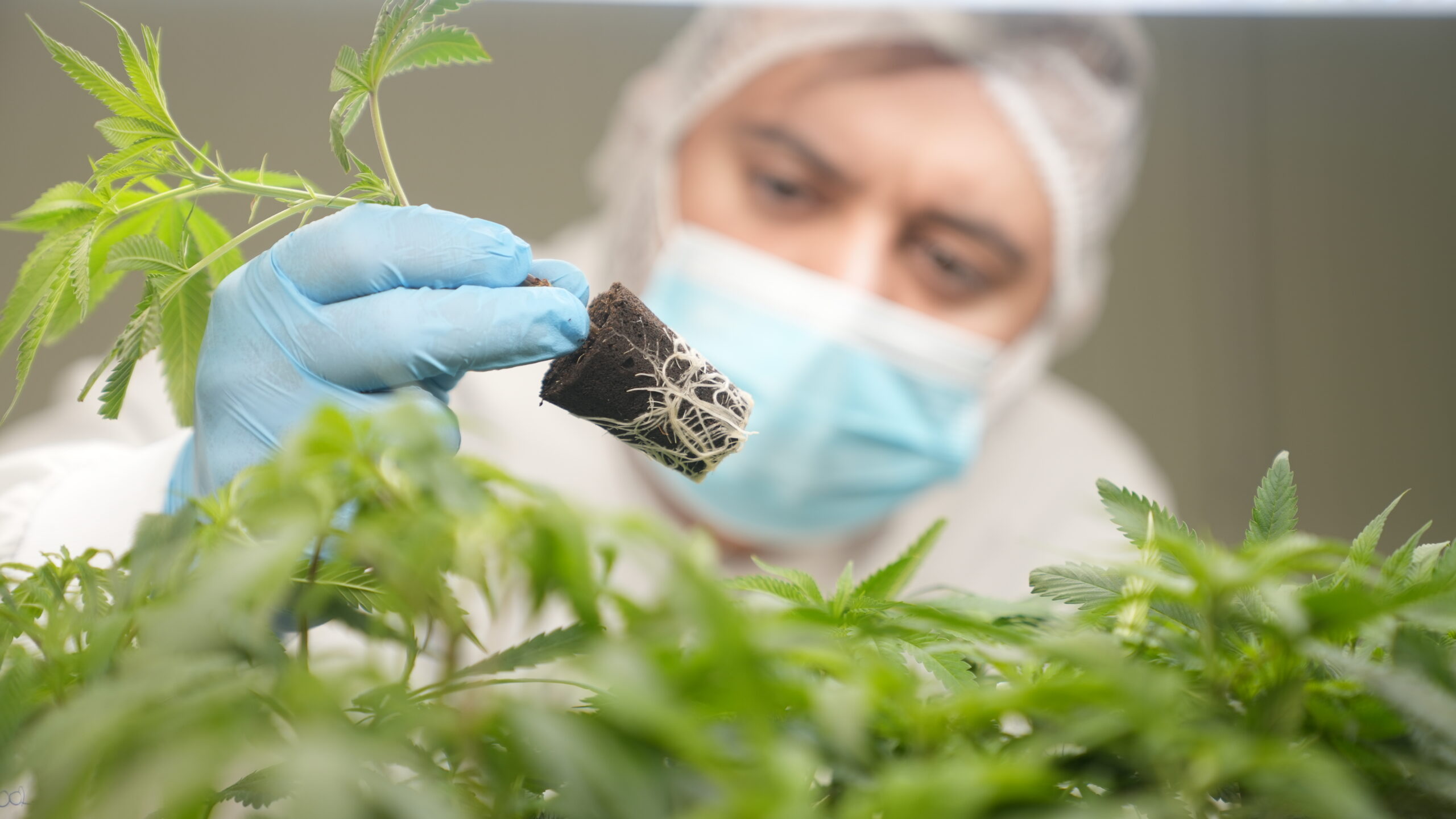 Manufacturing Process