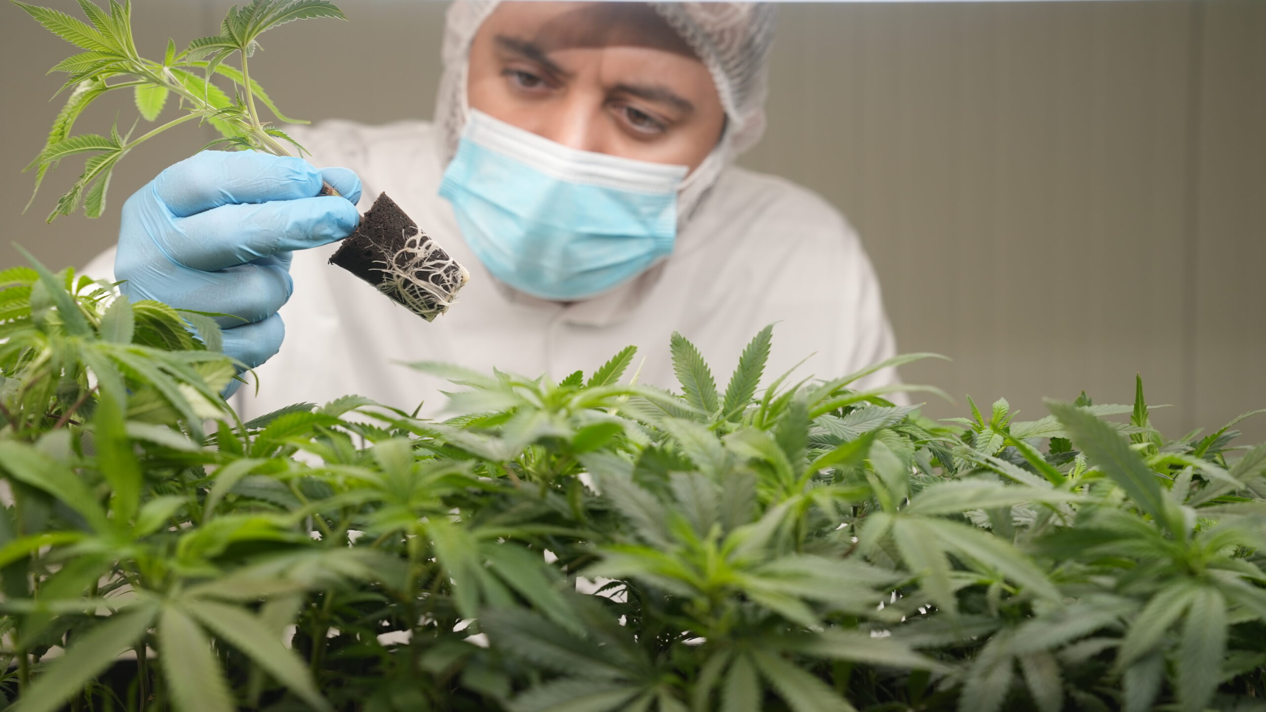 Manufacturing Process