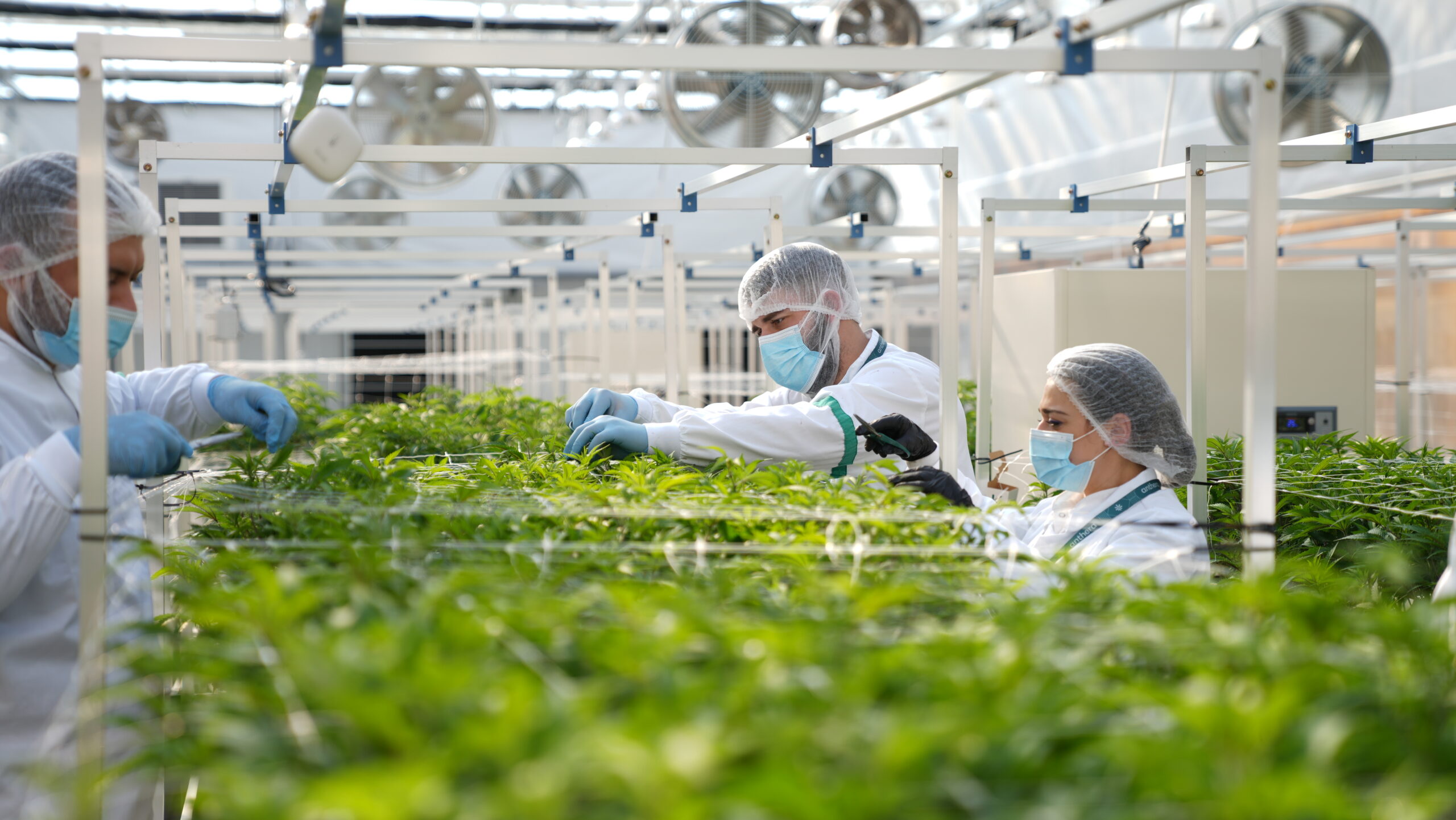 Manufacturing Process