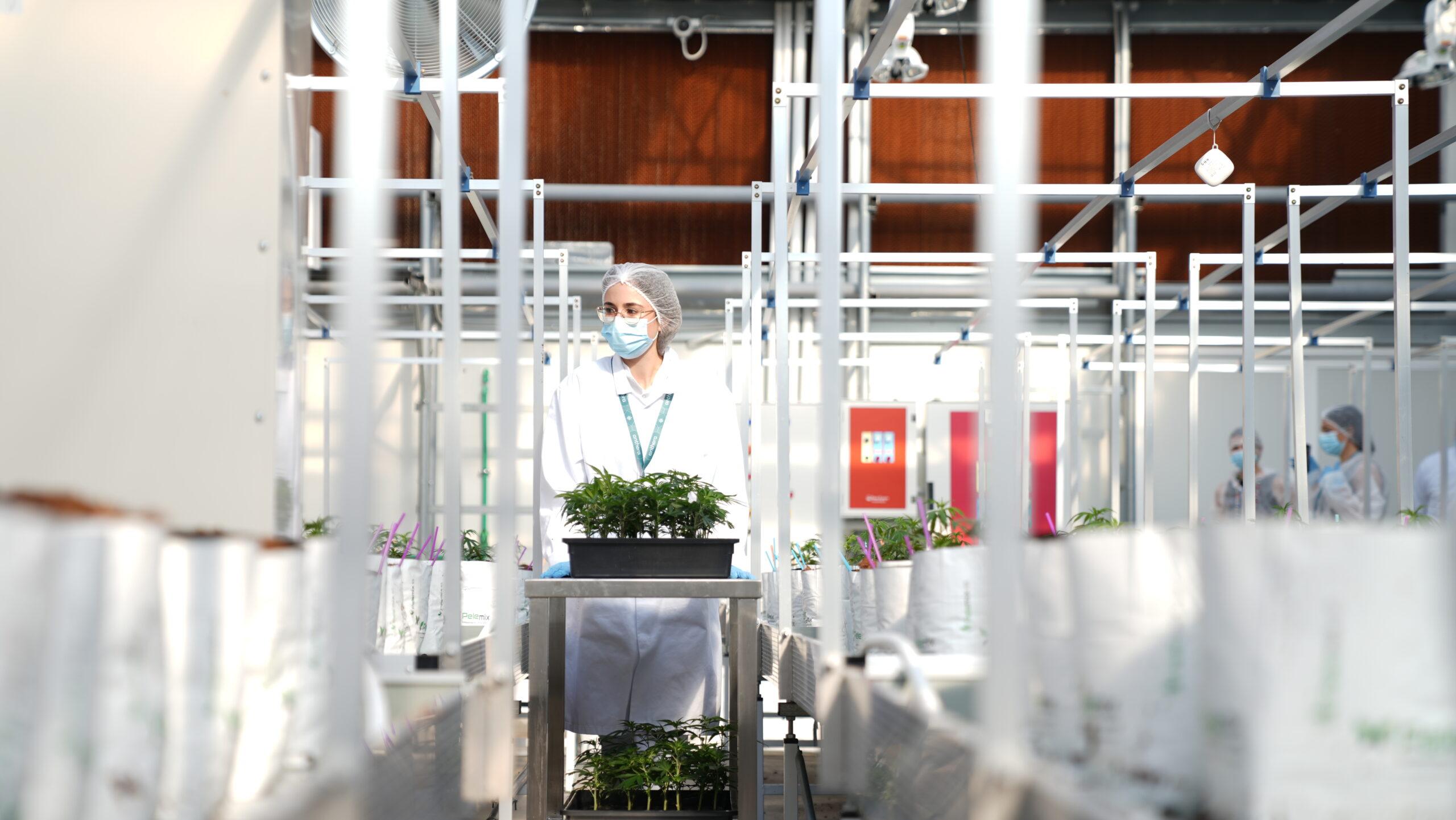 Manufacturing Process