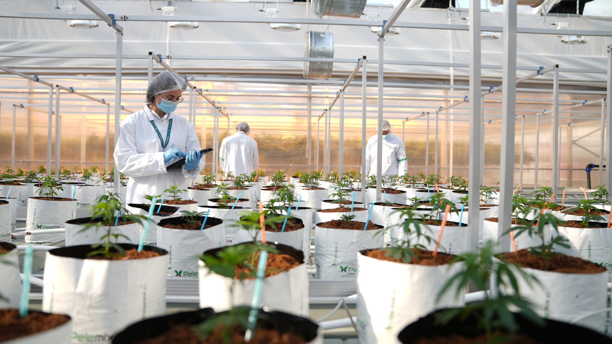 Manufacturing Process