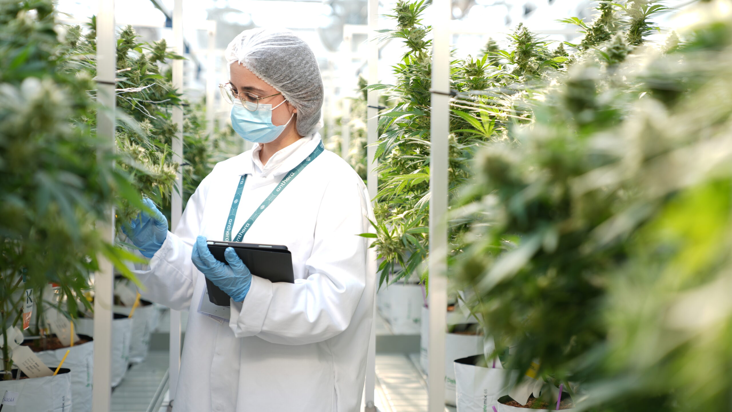 Manufacturing Process