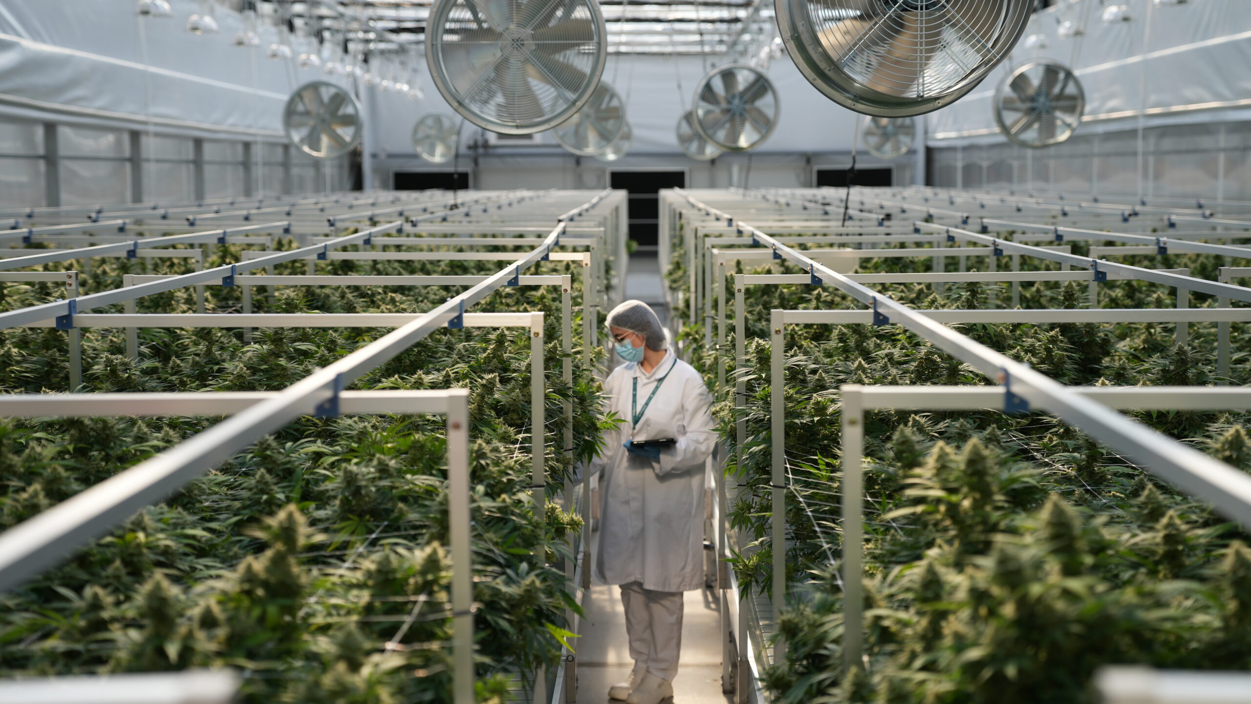 Anthera Featured by Kathimerini: A New Chapter for Greek Medical Cannabis